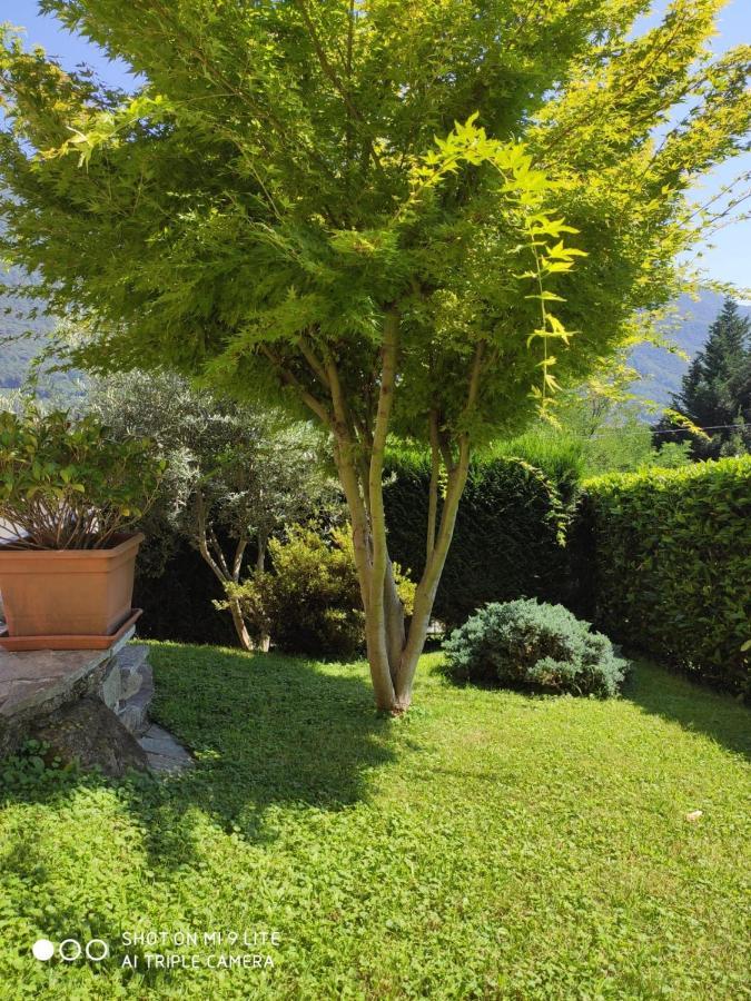 Casa Vacanza Il Glicine Casale Corte Cerro Exterior photo